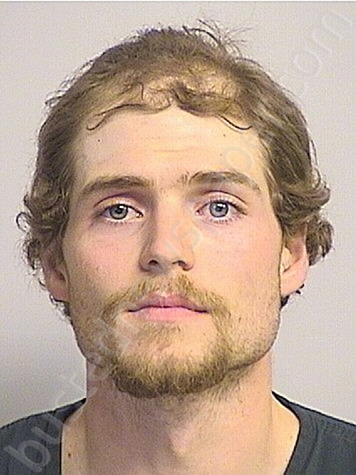 Pierson 2026 01 29 Tuscaloosa County Alabama Booking 