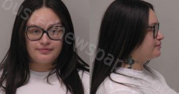 DELAO, ANGELICA MARIA | 2026-01-30 09:00:00 Hancock County, Ohio Booking