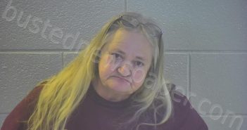 COLE, PATTY ANN | 2026-01-30 09:21:00 Pulaski County, Kentucky Booking