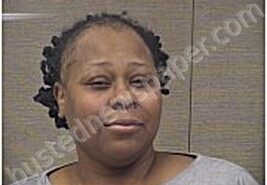 MCLEAN, FAITH | 2026-01-30 Harnett County, North Carolina Booking