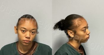 ENGLISH, JAZARIA CAMILLE | 2026-01-31 Roanoke County, Virginia Booking