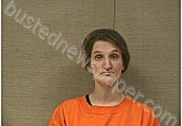 KING, PRISCILLA | 2026-01-31 Harnett County, North Carolina Booking
