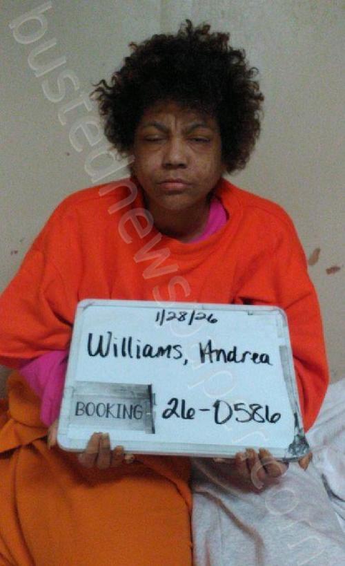 WILLIAMS, ANDREA MONIQUE #, Sebastian County, Arkansas - 2026-01-31 15:12:00