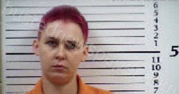CHAMBERS, SIENNA MARLEAH | 2026-01-31 00:11:00 Cherokee County, North Carolina Booking
