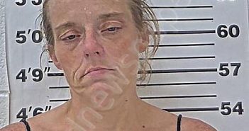 JACKSON, ANGELIA K | 2026-02-01 19:03:19 Massac County, Illinois Booking