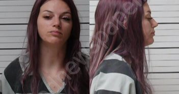 DRESSEN, BROOKE CHEVELLE | 2026-02-02 Kerr County, Texas Booking