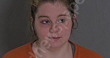 STEELE, EMILY RAE | 2026-02-03 16:23:30 Sandusky County, Ohio Booking