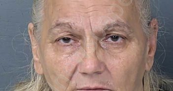 VALENTINE, VERONICA DENISE | 2026-02-03 20:49:00 Hernando County, Florida Booking