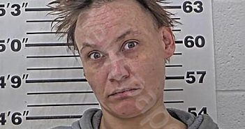 NEIMEYER, TERESA S | 2026-02-03 14:09:17 Massac County, Illinois Booking