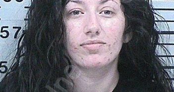 PRUETT, ALEXIS NICOLE | 2026-02-04 14:55:40 Hood County, Texas Booking