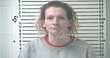 NEAL, BRITTANY MARIE | 2026-02-04 11:10:00 Hardin County, Kentucky Booking