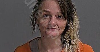 JOHNSON, ALICIA NICHOLE | 2026-02-05 12:48:14 Sandusky County, Ohio Booking