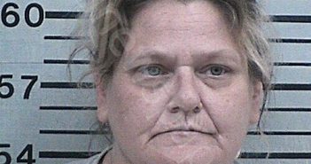 HORNE, APRIL CAROL | 2026-02-06 18:33:14 Hood County, Texas Booking