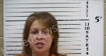 ALVIS, LAVINA JO | 2026-02-06 05:12:00 Cherokee County, North Carolina Booking