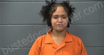 LIZARDO, AMANDA JAYLYN | 2026-02-07 03:46:00 Cass County, Indiana Booking