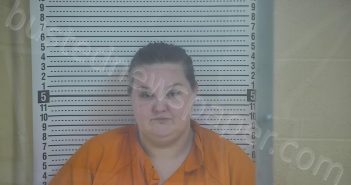 SPURLING, ASHLEY S | 2026-02-09 08:40:00 Taylor County, Kentucky Booking