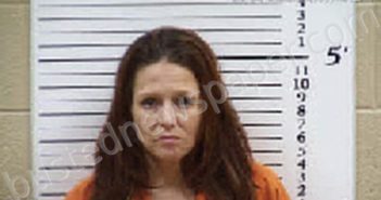 CARON, MICHELLE L | 2026-02-09 20:34:00 Cherokee County, North Carolina Booking