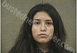 VARGAS-ORTEGA, ANA | 2026-02-09 Harnett County, North Carolina Booking