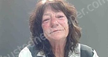 CONNER, SHIRLEY DOWD | 2026-02-09 20:41:00 Cameron Parish, Louisiana Booking