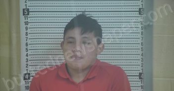 DIEGO, PHILLIPE | 2026-02-09 21:45:00 Taylor County, Kentucky Booking