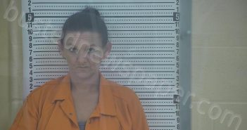 STRONG, JAMIE N. | 2026-02-09 13:01:00 Taylor County, Kentucky Booking