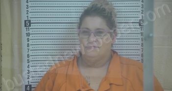 DAVIS, AMANDA GAYLE | 2026-02-10 00:30:00 Taylor County, Kentucky Booking