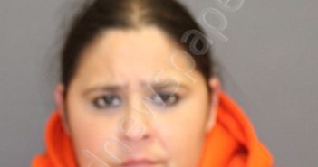 MAHAFFEY, AMANDA R. | 2026-02-10 02:49:00 Seneca County, New York Booking