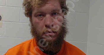 WILLIAMS,AARON LUCAS | 2026-02-10 08:31:00 Van Buren County, Iowa Booking