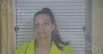 DICKSON, FALLON TIARA | 2026-02-10 14:22:00 Taylor County, Kentucky Booking