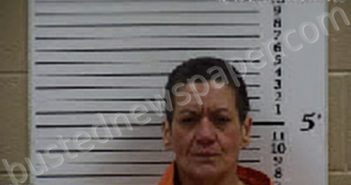 FEILDS, CARLA GRACE | 2026-02-10 05:39:00 Cherokee County, North Carolina Booking
