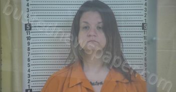 BERRY, APRIL | 2026-02-11 14:07:00 Taylor County, Kentucky Booking