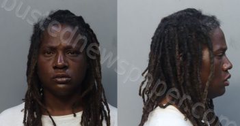 JOHNSON, NATASHA KIM | 2026-02-12 13:29:00 Miami-Dade County, Florida Booking