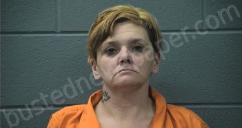 HENSON, STACIE LYNNETTE | 2026-02-12 13:45:00 Cass County, Indiana Booking