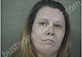 GILFILLAN, JESSICA | 2026-02-12 Harnett County, North Carolina Booking