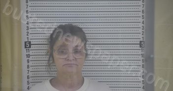 SIMS, KATHY JEAN | 2026-02-12 09:13:00 Taylor County, Kentucky Booking