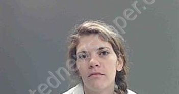 DOISE, HELEN CONCEPTION | 2026-02-12 12:58:00 Cameron Parish, Louisiana Booking
