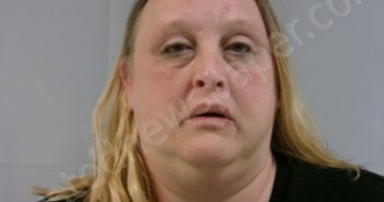 BRYAN, ANGIE LEE | 2026-02-13 02:25:00 Taylor County, West Virginia Booking