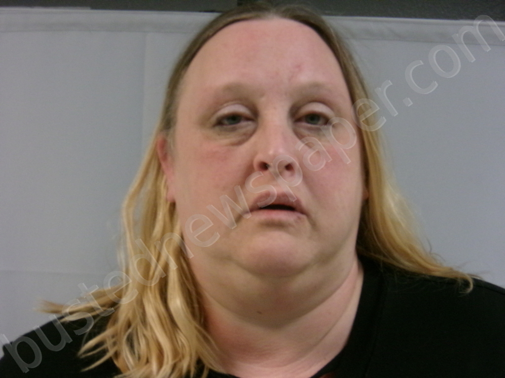 Bryan Angie Lee 2026 02 13 02 25 00 Taylor County West Virginia Booking 