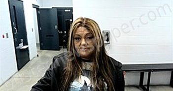 <B>SHIPMAN</B>, <B>JAMIE</B> <B>MICHELE</B> #, Fulton County, Arkansas - 2026-02-13 22:05:00