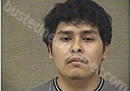 CAYETANO-CAJERO, UZIAS | 2026-02-13 Harnett County, North Carolina Booking