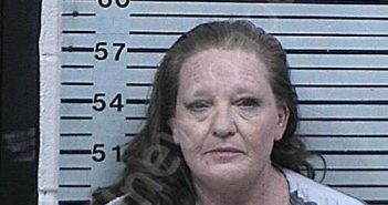 METCALFE, ALISA KAY | 2026-02-14 06:20:43 Hood County, Texas Booking