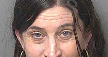 DIAZ,MELANIE ANN | 2026-02-14 Collier County, Florida Booking