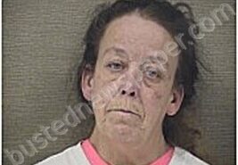 HUDSON, LISA | 2026-02-15 Harnett County, North Carolina Booking