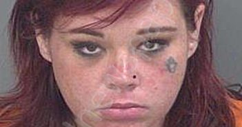 HAMILTON,MEGAN RENEE | 2026-02-15 Collier County, Florida Booking