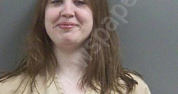 VOLLMANN, SARAH LYNN | 2026-02-15 08:30:47 Lagrange County, Indiana Booking