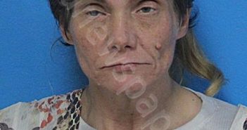 <B>MCCLANAHAN</B>, <B>STEPHANIE</B> <B>CAROL</B> #, Sullivan County, Tennessee - 2026-02-15 06:41:00