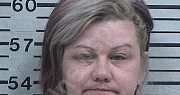 BRIDGES, ASHLEY NICOLE | 2026-02-15 04:07:44 Hood County, Texas Booking