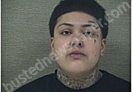 SAAVEDRA- HERNANDEZ, SHELIA | 2026-02-16 Harnett County, North Carolina Booking