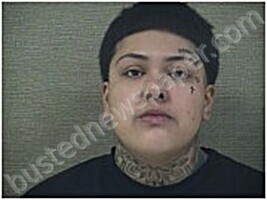 SAAVEDRA- HERNANDEZ, SHELIA #, Harnett County, North Carolina - 2026-02-16