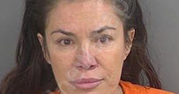 KRATZ,CRISTINA | 2026-02-16 Collier County, Florida Booking